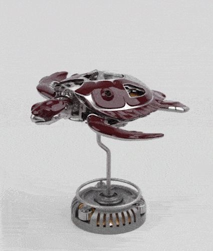 6.gif