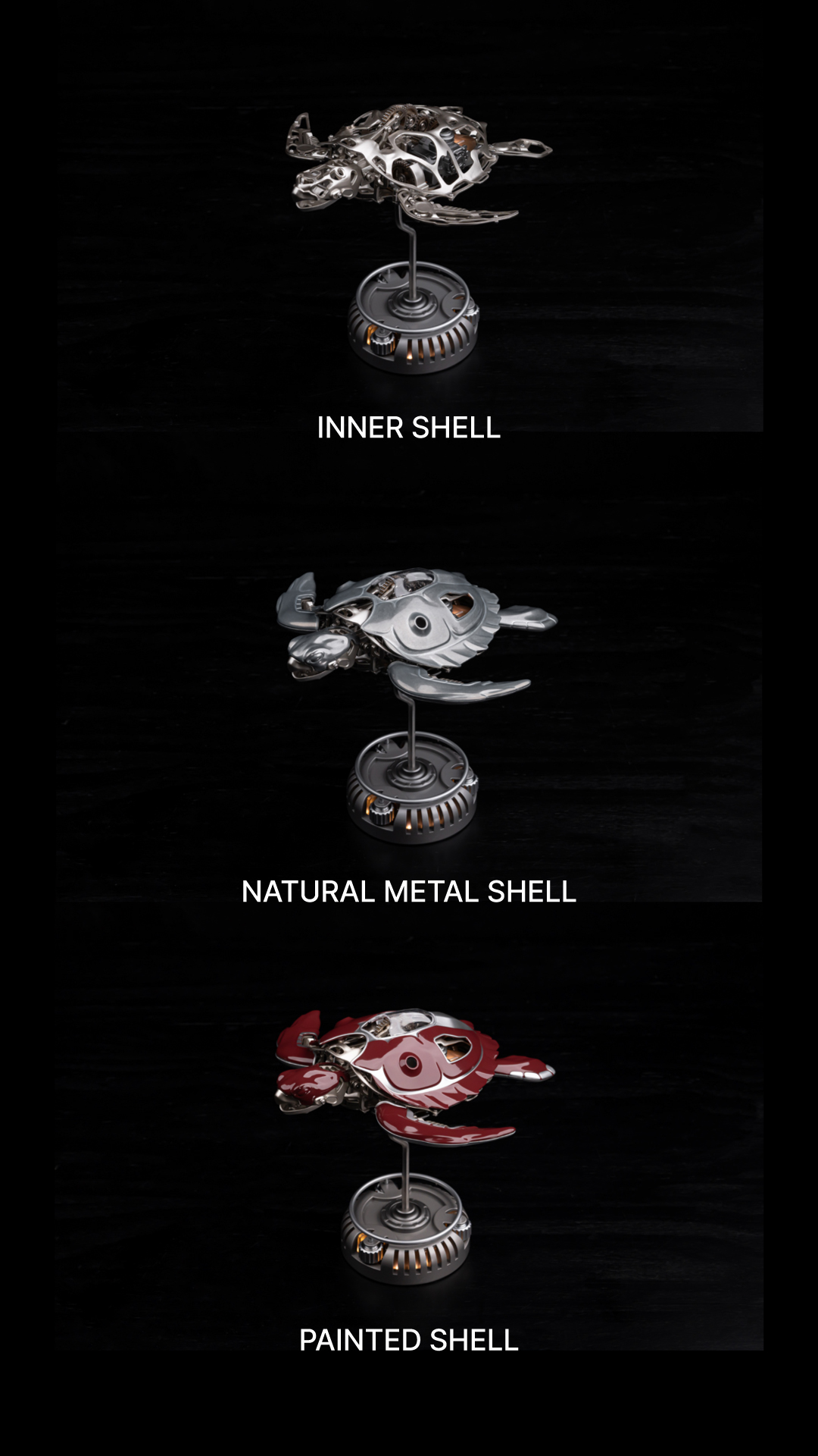 detail_shell.jpg