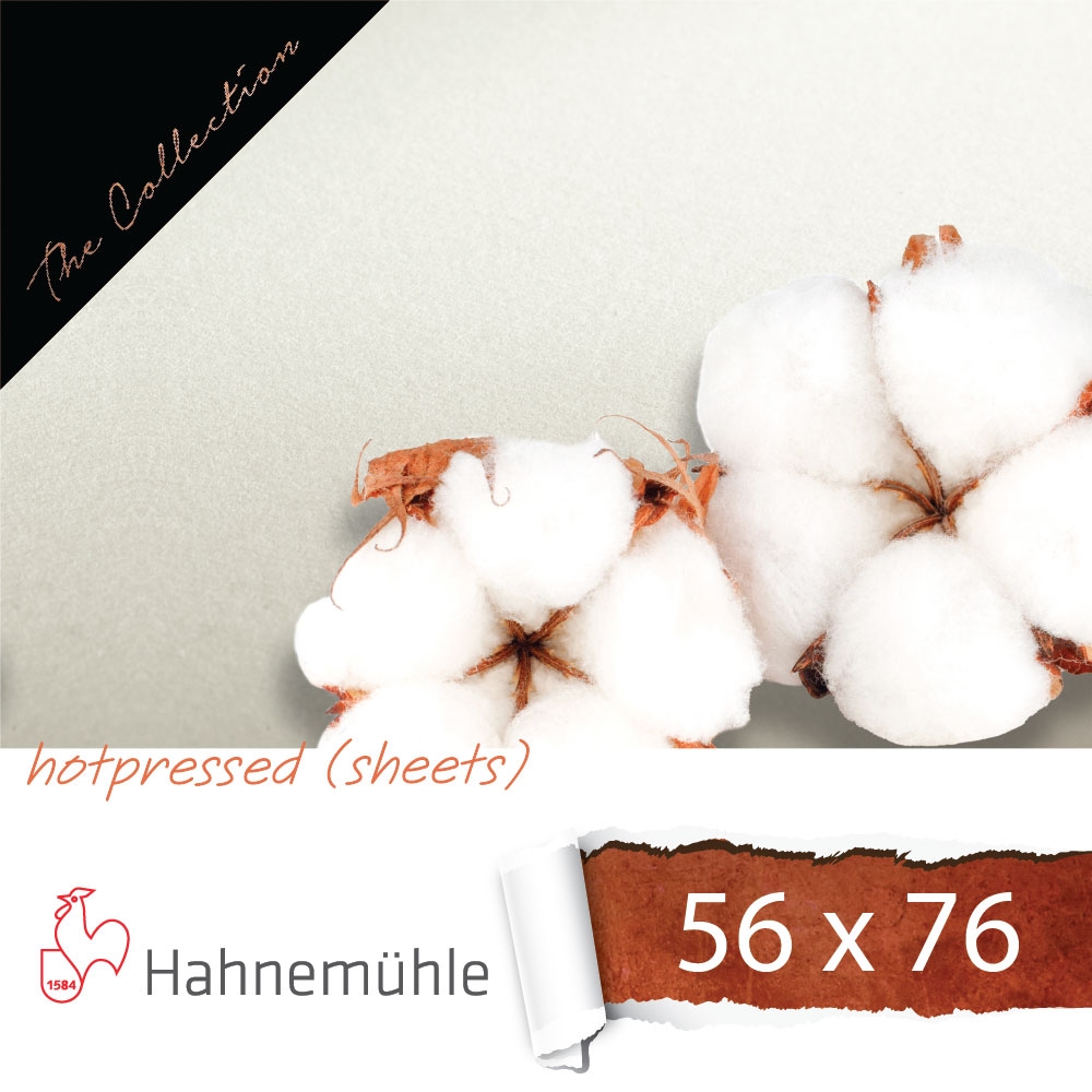 width:100%;height:auto