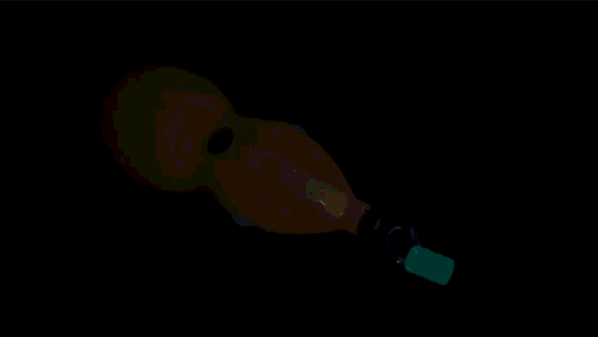 7.gif
