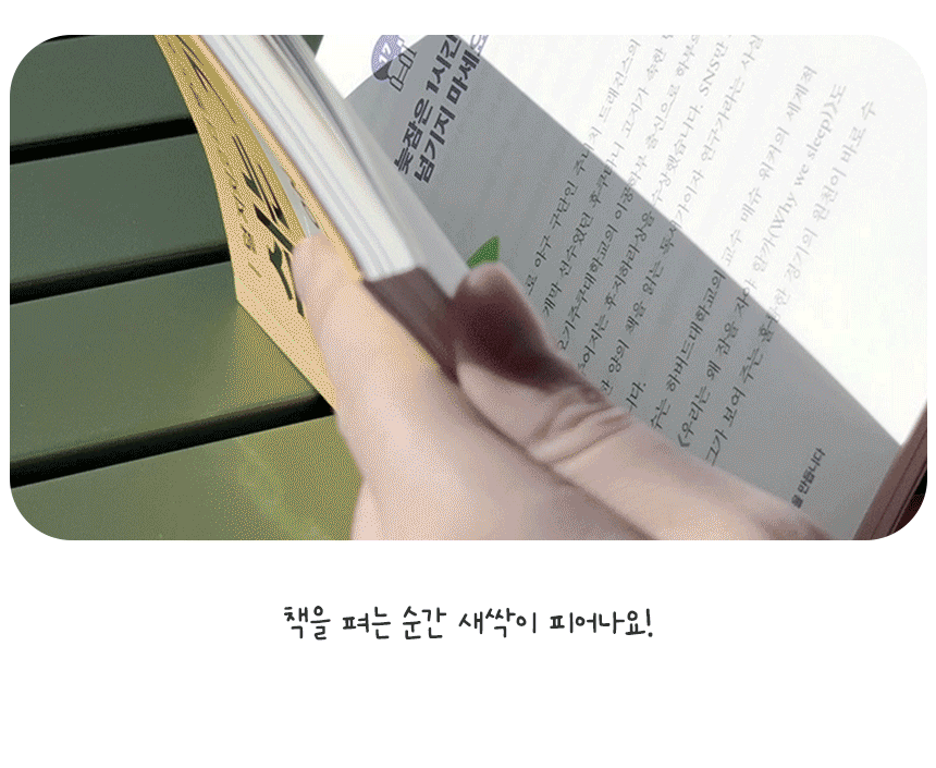 상세_2_2.gif