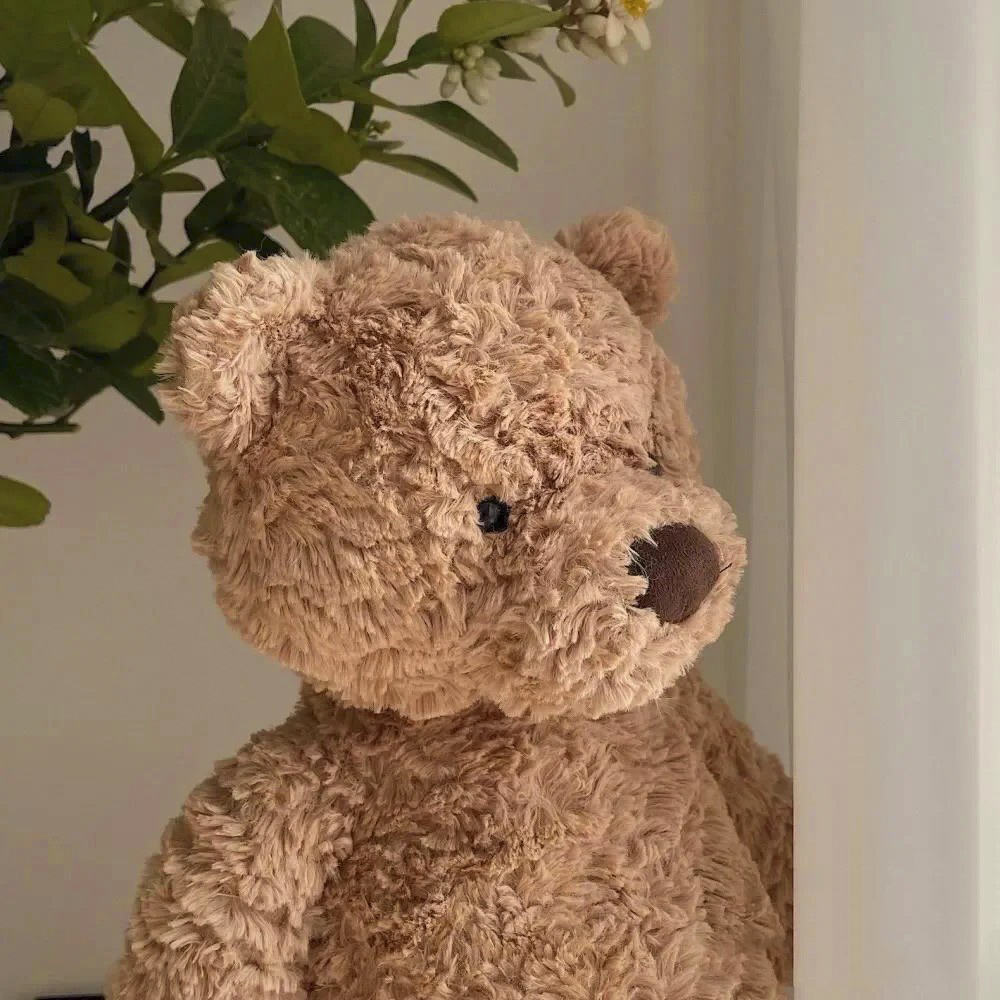 안고자는 귀여운 브라운 베어 곰돌이 인형 애착 인테리어 소품 테디베어 곰인형 35cm