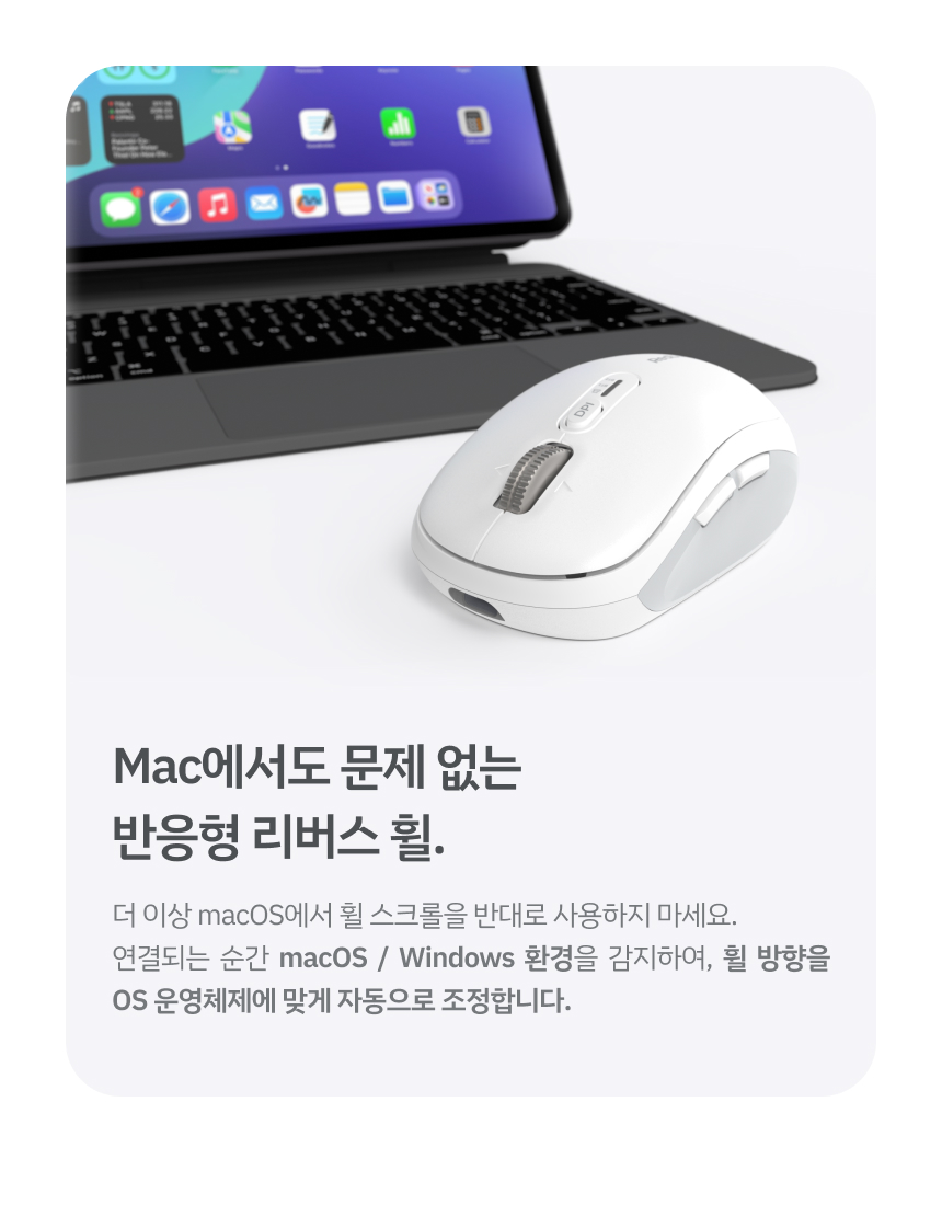 마지막6.jpg