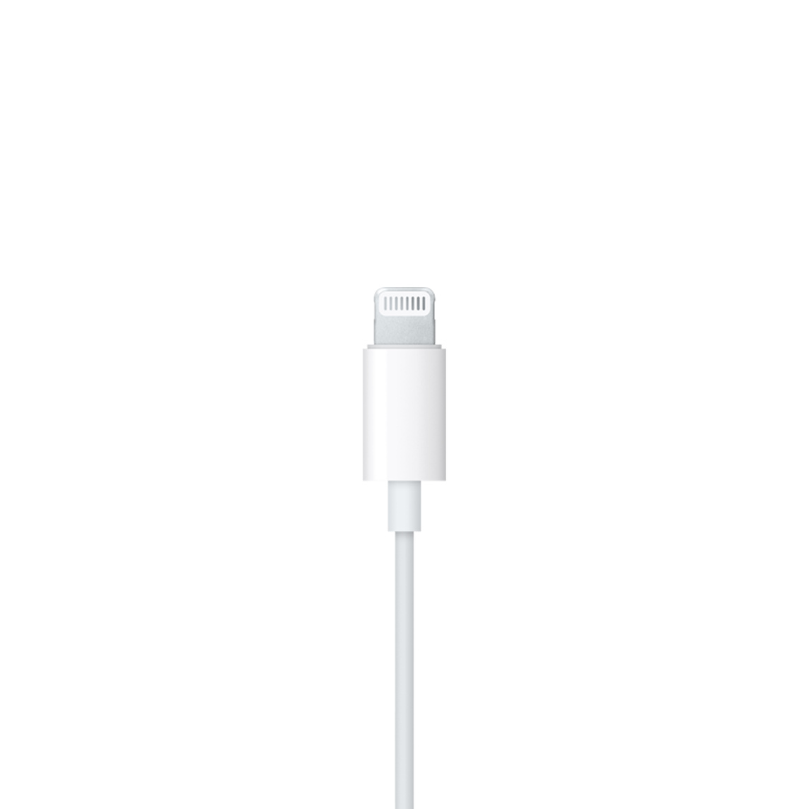 //shopby-images.cdn-nhncommerce.com/Mall-No-XviQ/20260424/152712.615911565/5MMTN2_AV4.jpeg