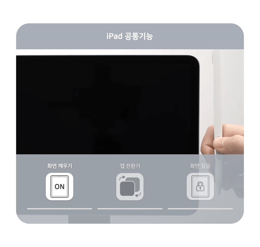 레드빈11.gif