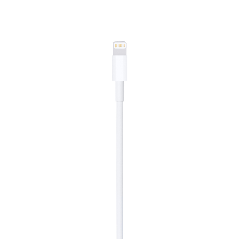//shopby-images.cdn-nhncommerce.com/Mall-No-XviQ/migration/79777/product/306396743/10507_detail_29.jpg