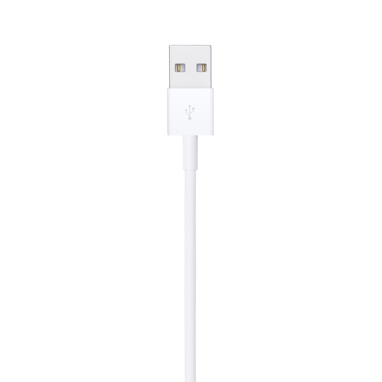 //shopby-images.cdn-nhncommerce.com/Mall-No-XviQ/migration/79777/product/306396744/10507_detail_338.jpg