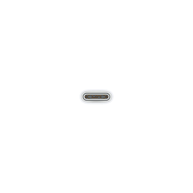 //shopby-images.cdn-nhncommerce.com/Mall-No-XviQ/migration/79777/product/306397623/8869_detail_159.jpeg
