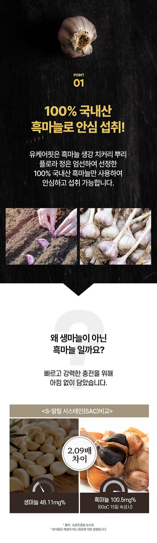 흑마늘008.jpg