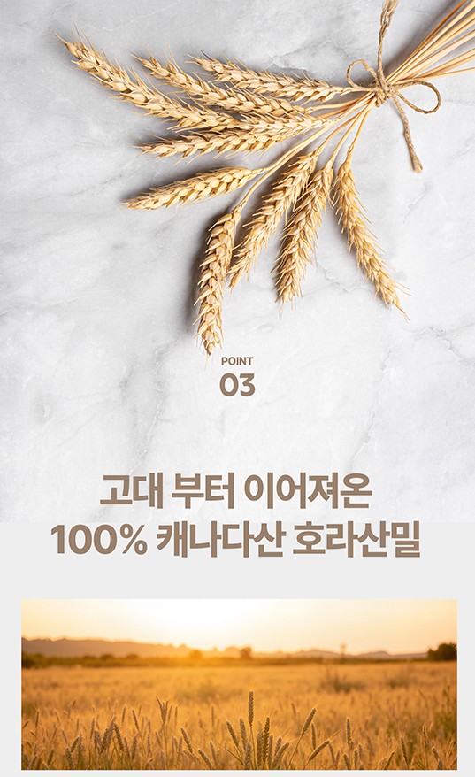 흑마늘010.jpg