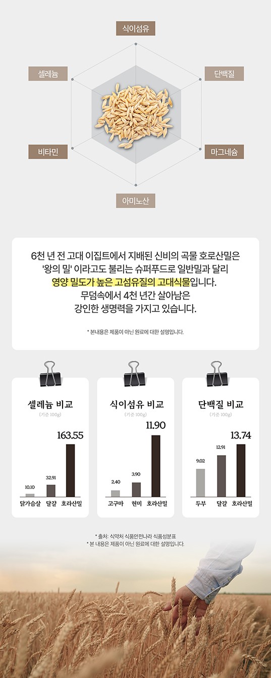 흑마늘011.jpg