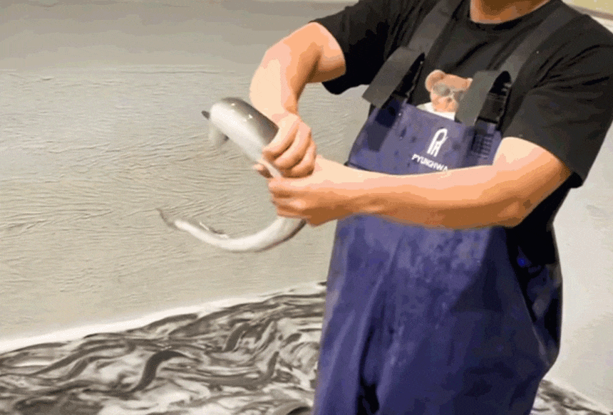 4.gif