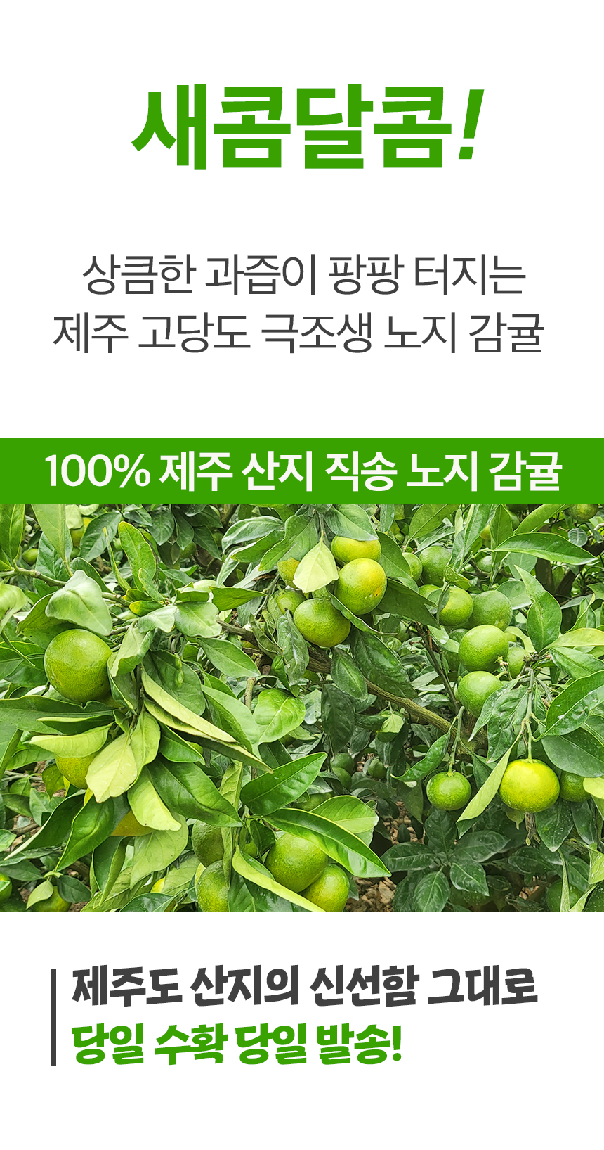 002_food100_4-Osdd8b.jpg