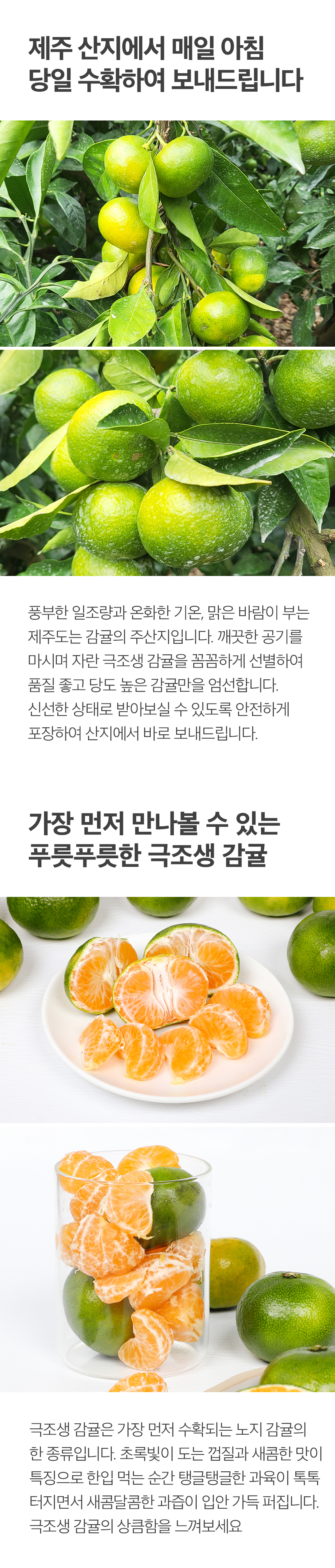 007_food100_ZbHwWsC9.jpg