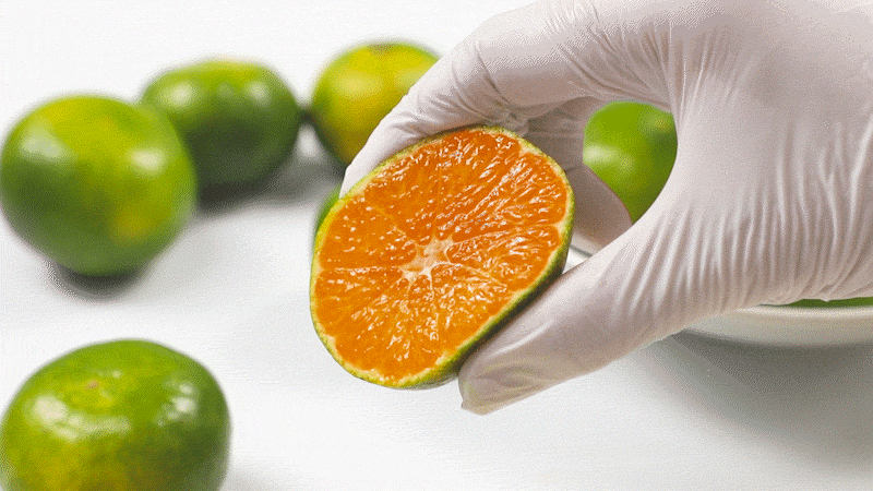 005_food100_fbRsKKoe.gif