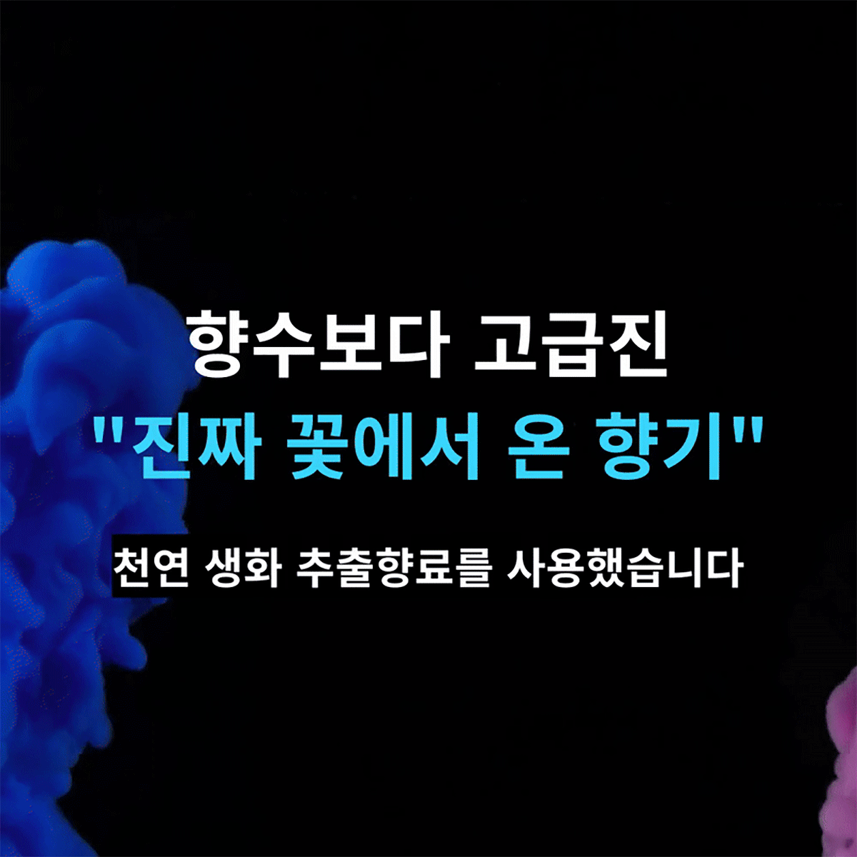 D-LOCO-FLOWER-ZERO-NN_06.gif