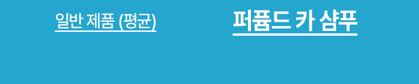 디테일링프로_퍼퓸드카샴푸_상품페이지01_07.jpg