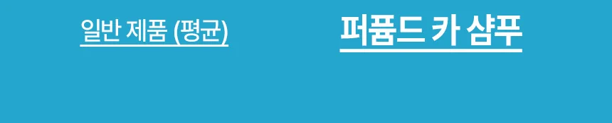 디테일링프로_퍼퓸드카샴푸_상품페이지01_07.webp