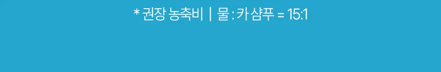 디테일링프로_퍼퓸드카샴푸_상품페이지01_11.webp