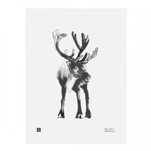 TEEMU JARVI ILLUSTRATIONS TE에뮤 Reindeer poster 30 x 40 cm TJPoSFG-FR1