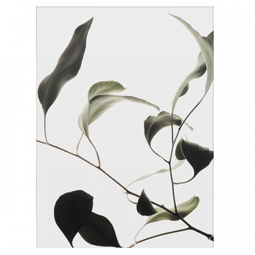 PAPER COLLECTIVE 페이퍼콜렉티브 Floating Leaves 09 PC08137