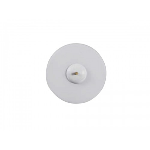 Bert Frank Trave 벽등 벽조명 / Bert Frank Trave Wall Lamp 26234
