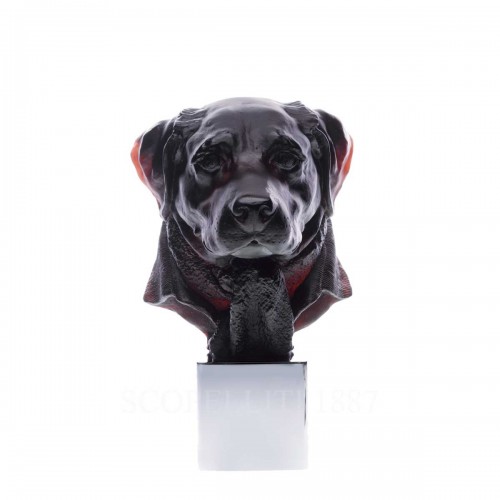 DAUM Dandys Gaspard Retriever 블랙 리미티드 에디션 Daum Dandys Gaspard Retriever Black Limited Edition 02583