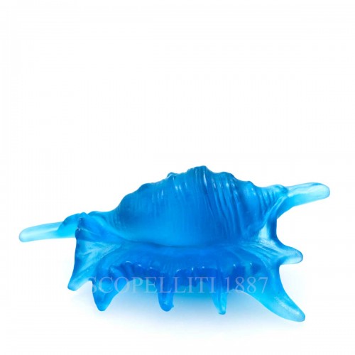 DAUM 크리스탈 Seashell Mer de Corail 블루 Small Daum Crystal Seashell Mer de Corail Blue Small 02574