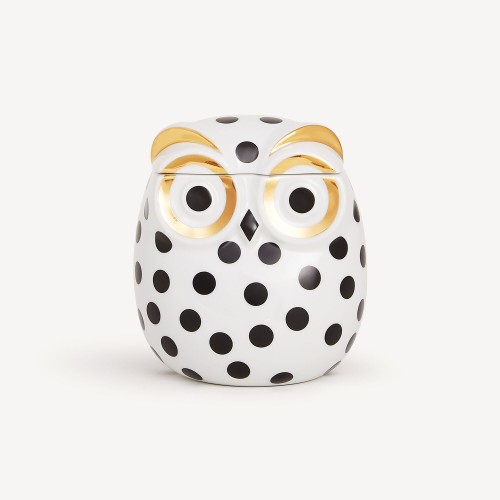 포르나세티 Jar Civetta Impallinata Fornasetti Jar Civetta Impallinata 00721