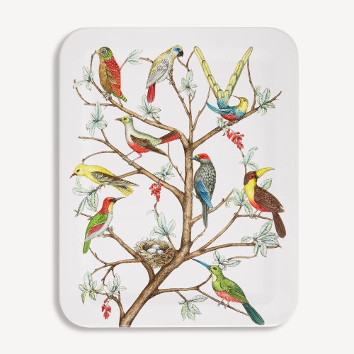 포르나세티 트레이 Uccelli Fornasetti Tray Uccelli 00389