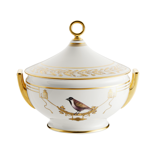 지노리 1735 Tureen Voliere Ginori 00999