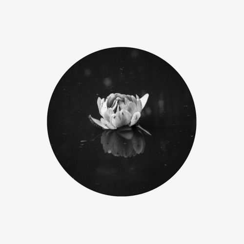 일바 써클 아트 플로팅2 ILVA Circle Art Floating2