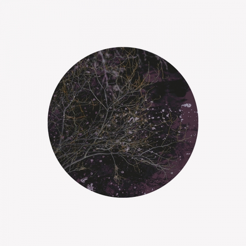 일바 써클 아트 리버 오브 와인 ILVA Circle Art River of Wine