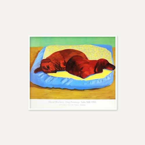 그릿시즌 데이비드 호크니 / Dog 43 (액자포함, 53x64)