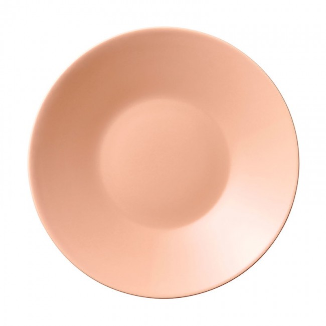 ARABIA 아라비아핀란드 KoKo 접시 23 cm C안타LOUPE AR1052307
