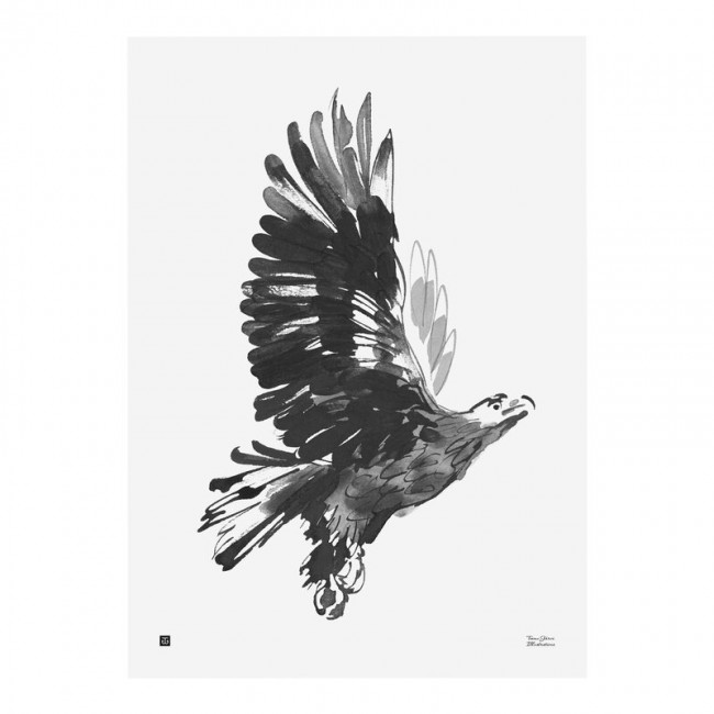 TEEMU JARVI ILLUSTRATIONS TE에뮤 Eagle poster 50 x 70 cm TJ6430065513254