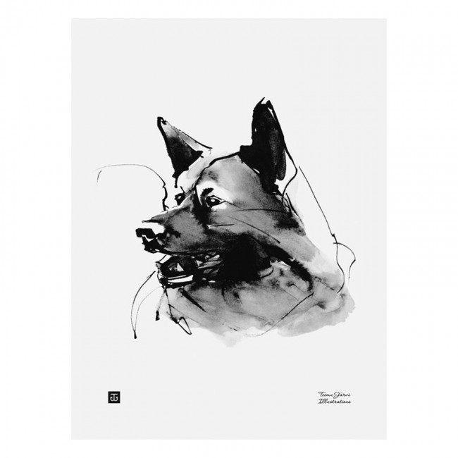 TEEMU JARVI ILLUSTRATIONS TE에뮤 EXPLO링 poster 30 x 40 cm TJ6430065512943