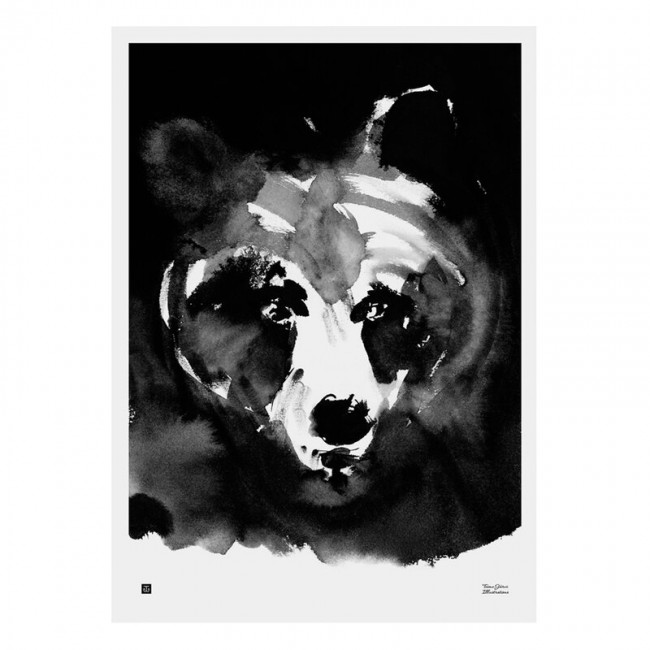 TEEMU JARVI ILLUSTRATIONS TE에뮤 Mysterious Bear poster 50 x 70 cm TJ6430065512899