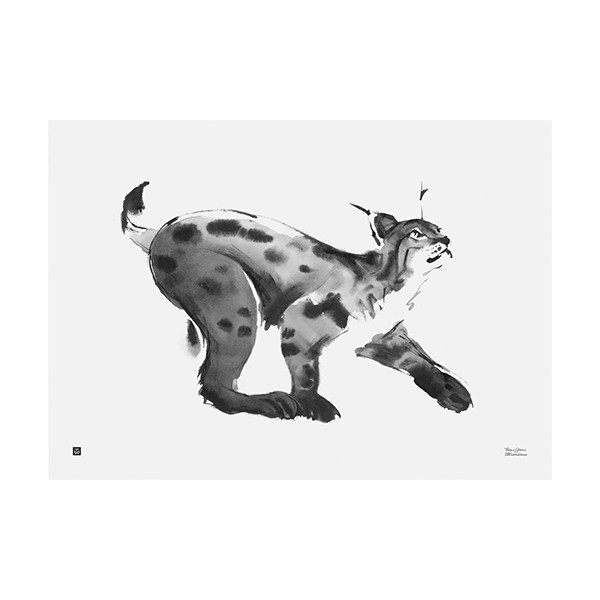 TEEMU JARVI ILLUSTRATIONS TE에뮤 Lynx poster 70 x 50 cm TJPoFG-LY2