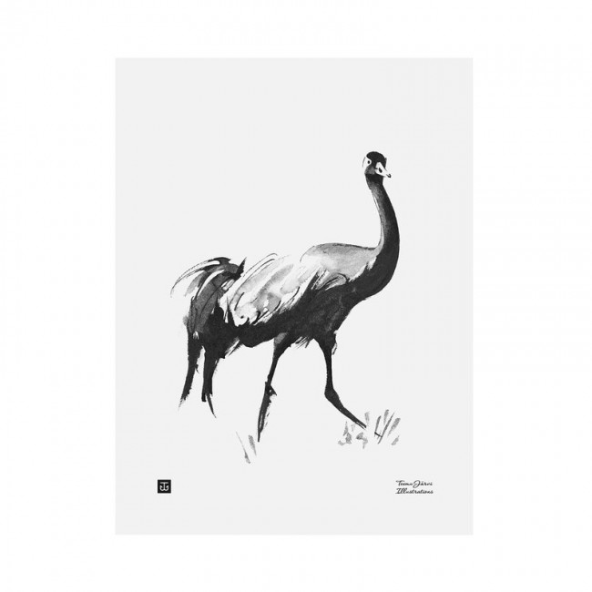 TEEMU JARVI ILLUSTRATIONS TE에뮤 Common Crane poster 30 x 40 cm TJPoSRG-CC1