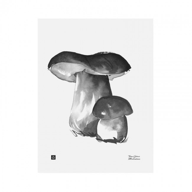 TEEMU JARVI ILLUSTRATIONS TE에뮤 Porcini poster 30 x 40 cm TJPoSFG-PM1