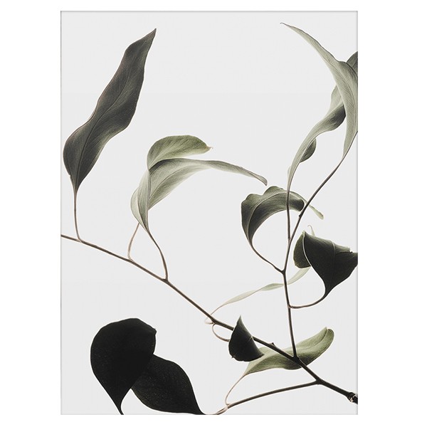 PAPER COLLECTIVE 페이퍼콜렉티브 Floating Leaves 09 PC08137