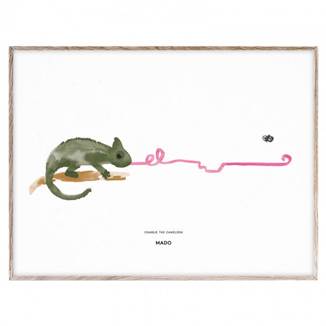 MADO 마도 Charlie the Chameleon poster 40 x 30 cm DOM1111