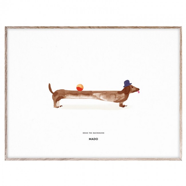 MADO 마도 Doug the Dachshund poster 40 x 30 cm DOM1109