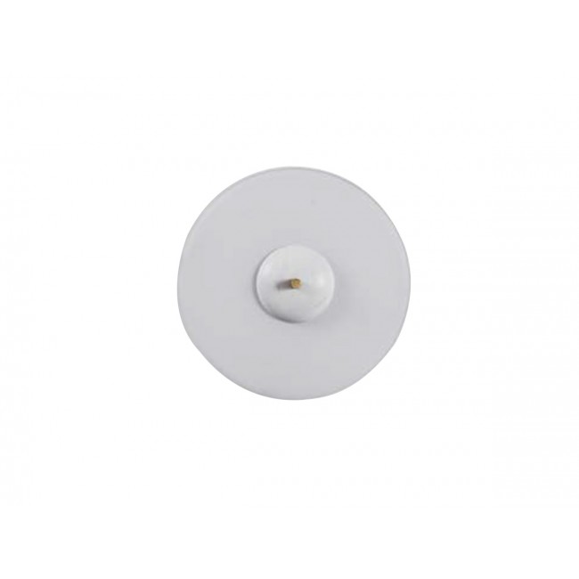 Bert Frank Trave 벽등 벽조명 / Bert Frank Trave Wall Lamp 26234