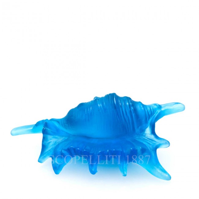 DAUM 크리스탈 Seashell Mer de Corail 블루 Small Daum Crystal Seashell Mer de Corail Blue Small 02574