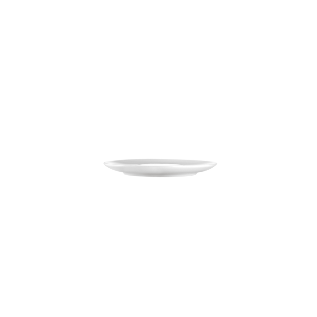 지노리 1735 Aria Gourmet 접시 Ginori Plate 00264