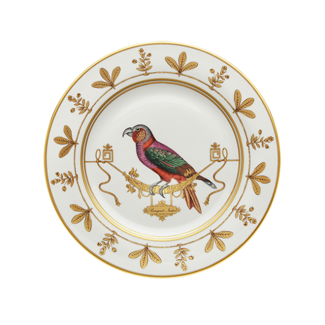 지노리 1735 Charger 접시 Voliere Perroquet Nestor Ginori plate 00224