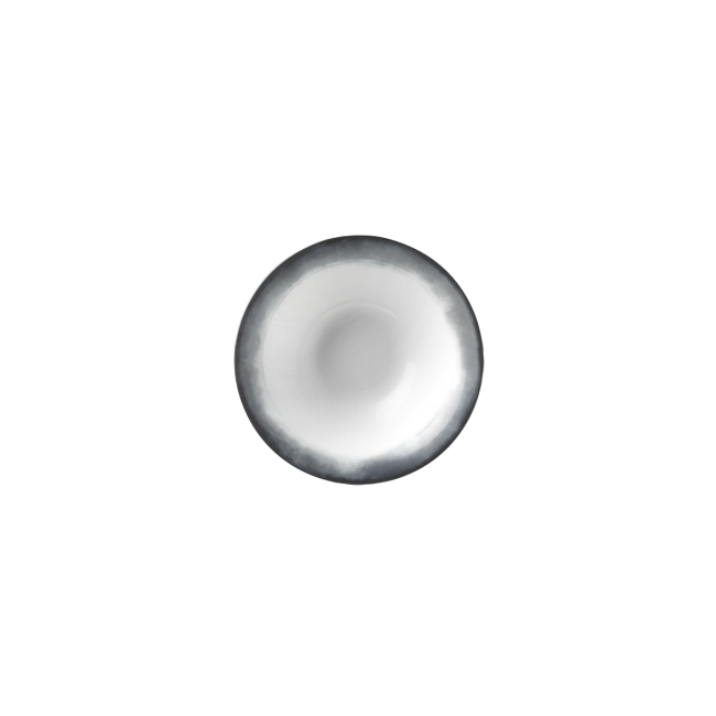 지노리 1735 Gourmet 접시 Ether Light Ginori Plate 00024