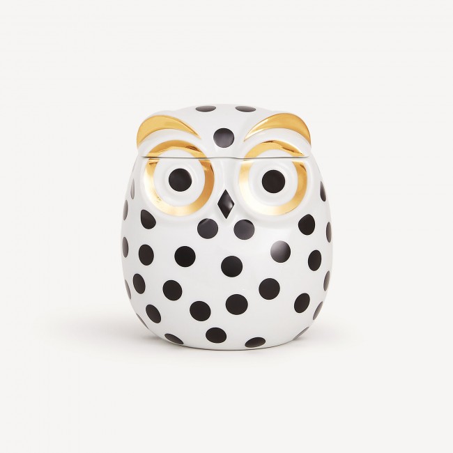포르나세티 Jar Civetta Impallinata Fornasetti Jar Civetta Impallinata 00721